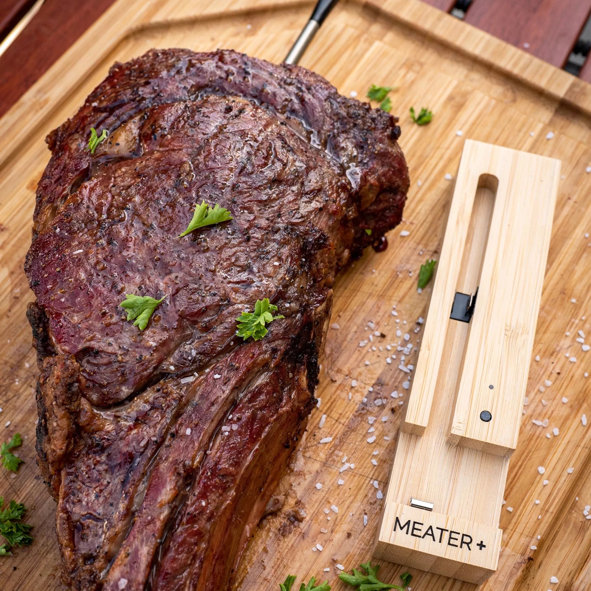 Traeger MEATER Plus Wireless Meat Thermometer